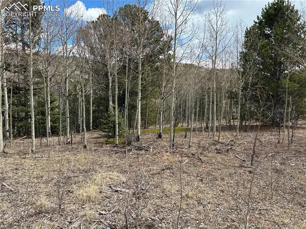 12201 S Highway 67, Cripple Creek, CO 80813