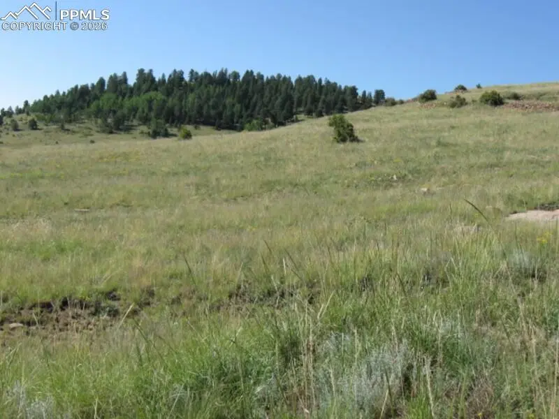Lots 3-4 Shideler AVE, Cripple Creek, CO 80813