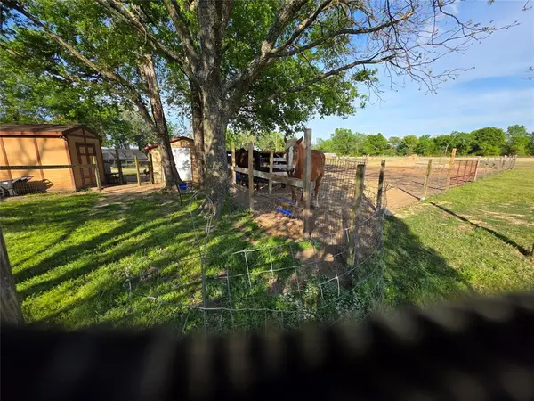 550 RS COUNTY ROAD 3425, Emory, TX 75440