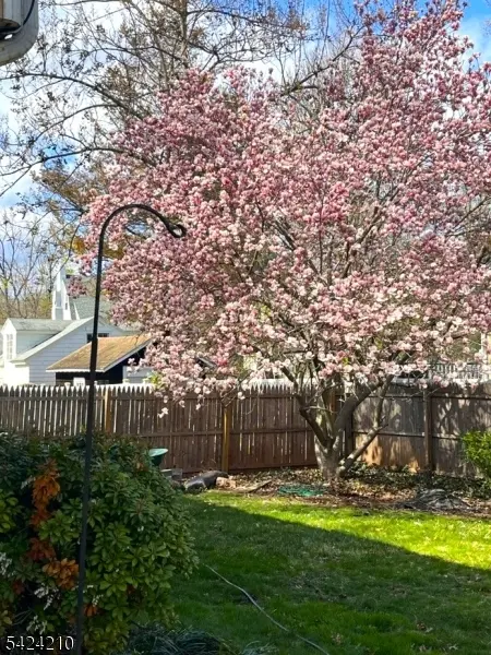 889 Fernwood Ave, Plainfield City, NJ 07062