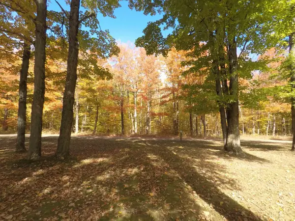 7841 W 28 RD, Slagle Twp, MI 49638