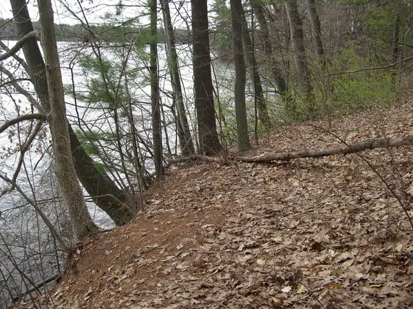 1573 Edgewater RDG, Traverse City, MI 49684