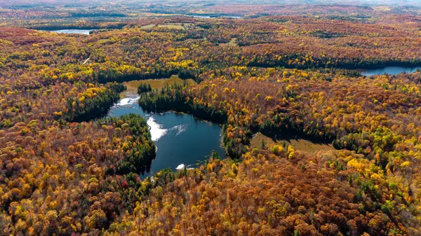 170 Schavens Lake RD, Bonnechere Valley, ON K0J 1T0