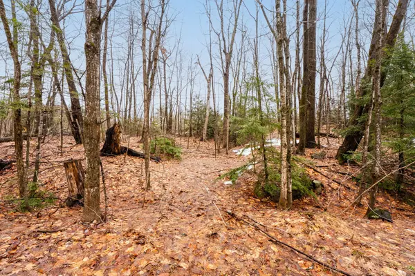 0 Trafalgar Bay RD, Muskoka Lakes, ON P0C 1A0