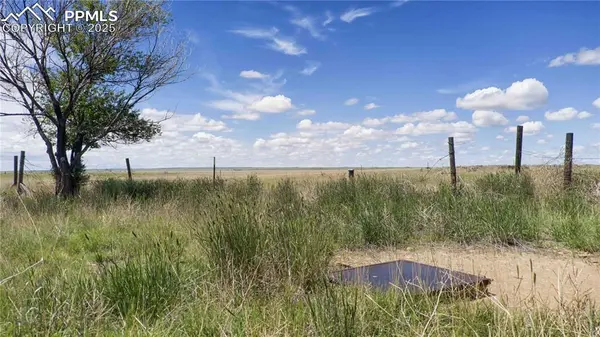 39320 Truckton RD, Rush, CO 80833