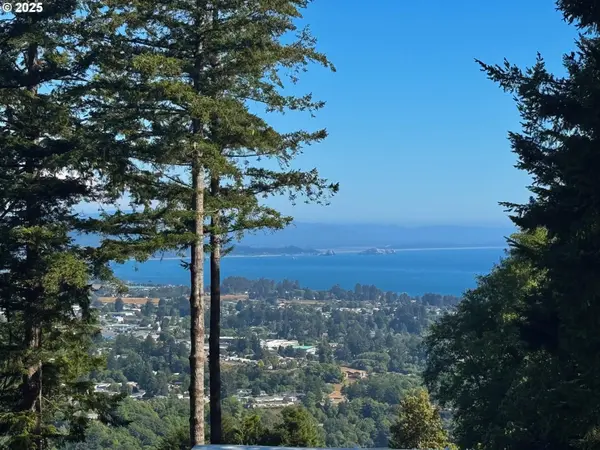 16945 PACIFIC VIEW DR, Brookings, OR 97415