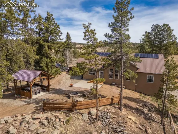 293 Daniwood GRV, Florissant, CO 80816