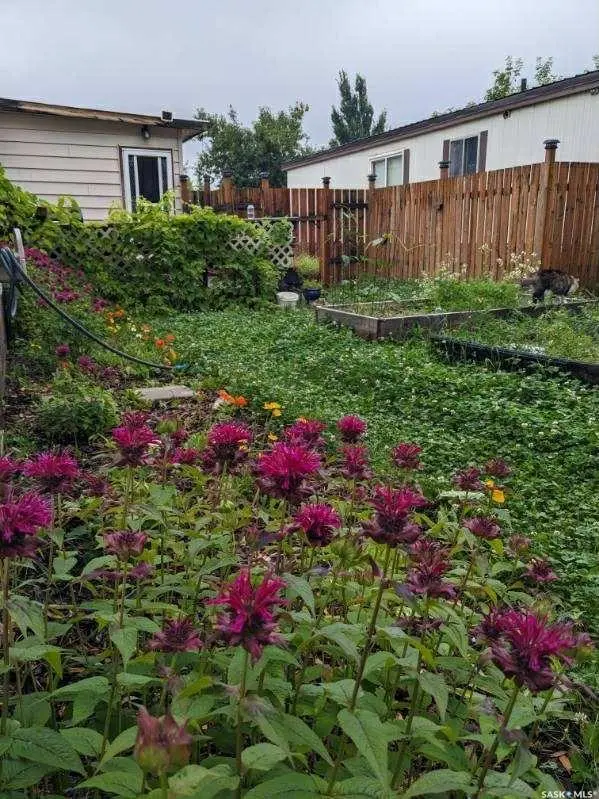 1035 Boychuk DRIVE #68, Saskatoon, SK S7H 5B2