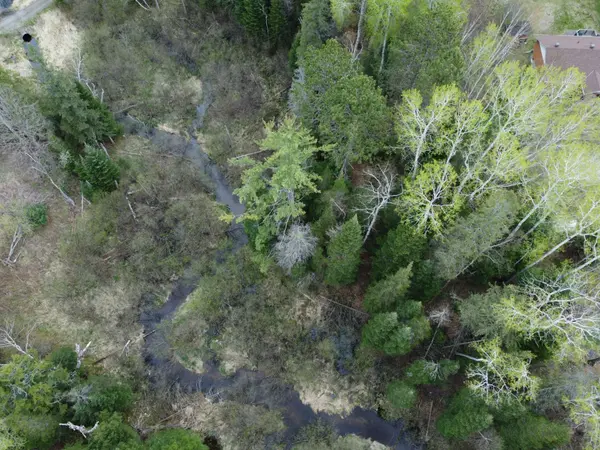 PTLT 177/8 Murray Park ST, Madawaska Valley, ON K0J 1B0