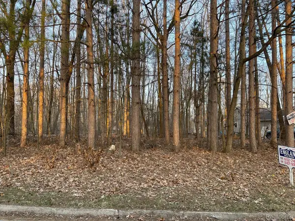 9127 Pineview Lake, Argentine Twp, MI 48451