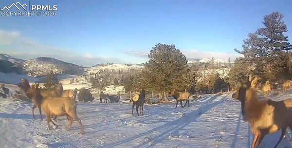 450 Schierl RD, Fort Garland, CO 81133