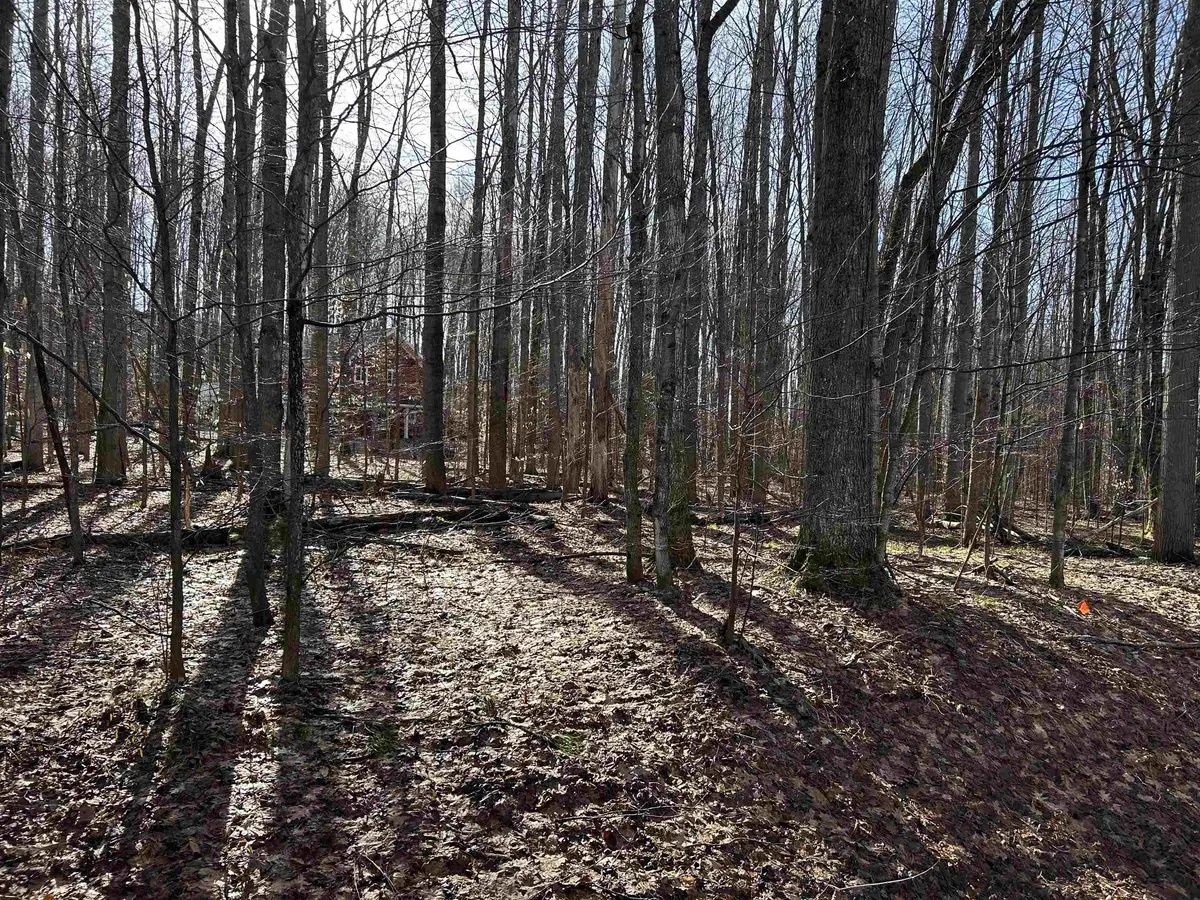 Lot 39 Schutzen LN, Custer Twp, MI 49615