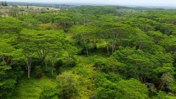 ENOS RD, Mountain View, HI 96771