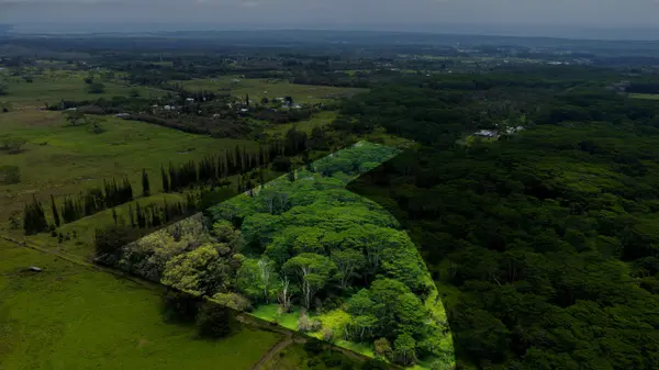 ENOS RD, Mountain View, HI 96771