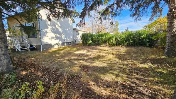 4529 44 ST, Castor, AB T0C 0X0