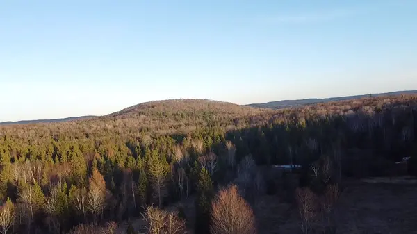 98 Kennedy RD, Carlow/mayo, ON K0L 1G0