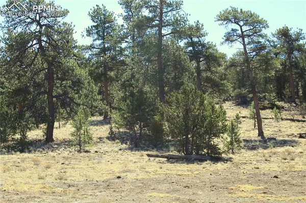 Ahlers RD, Hartsel, CO 80449