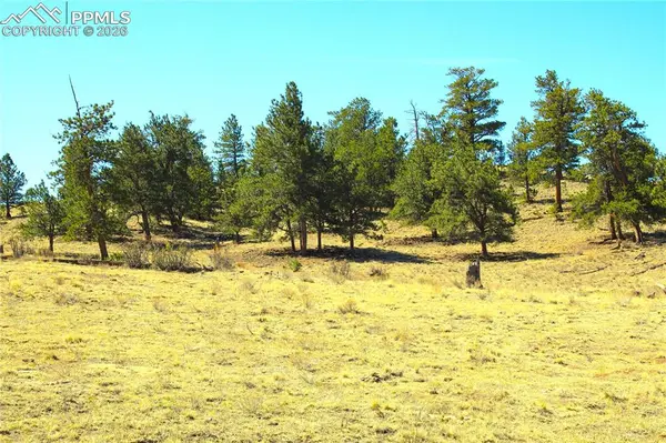 Ahlers RD, Hartsel, CO 80449