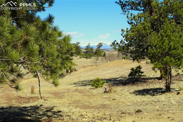 Ahlers RD, Hartsel, CO 80449