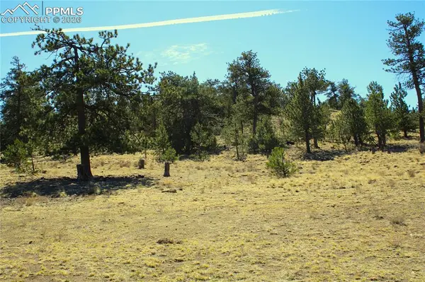 Ahlers RD, Hartsel, CO 80449