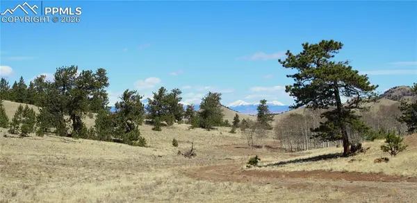 Ahlers RD, Hartsel, CO 80449