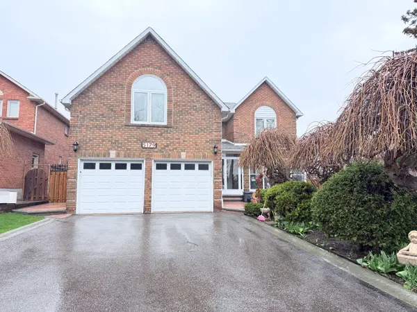 5179 Springbok CRES #Bsmt, Mississauga, ON L4Z 3J3