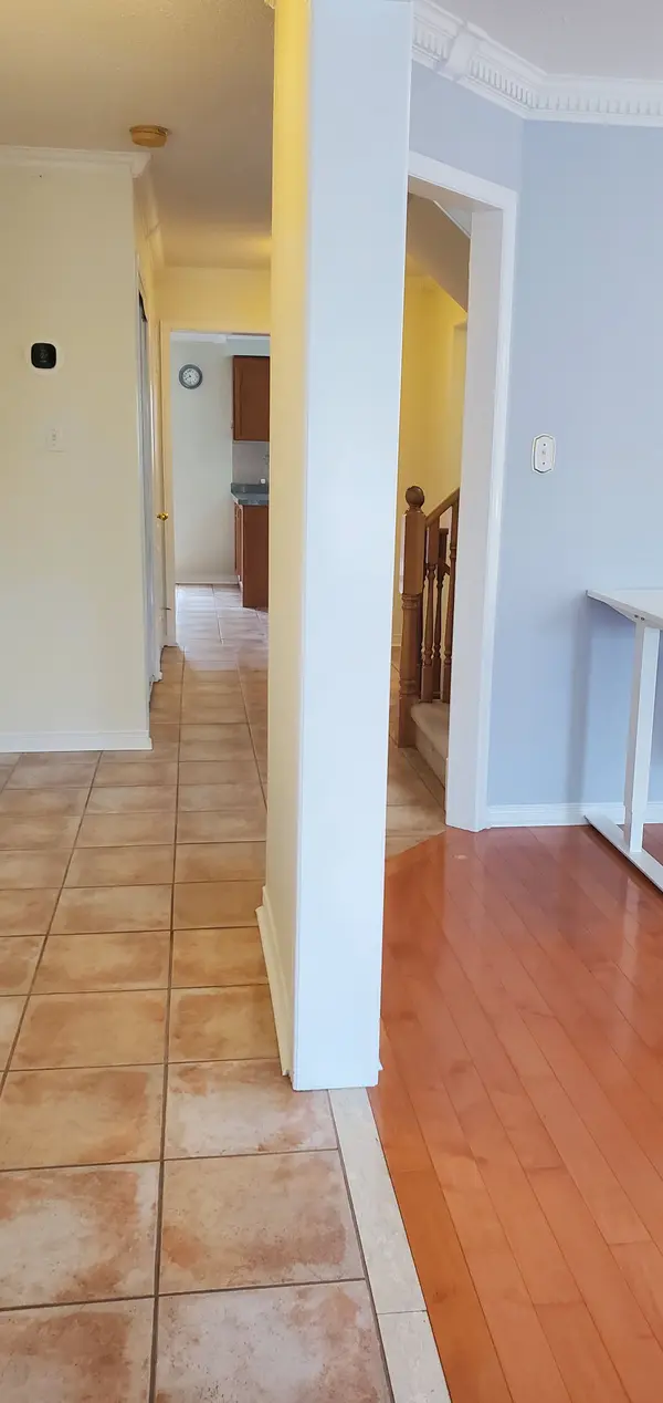 202 Red maple RD, Richmond Hill, ON L4B 4S8