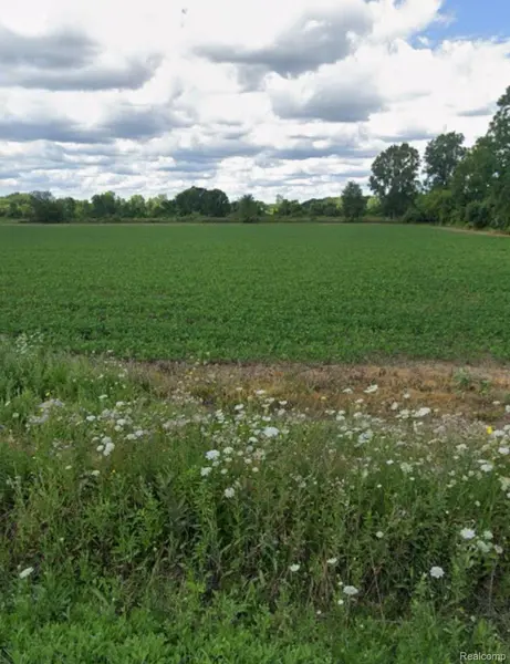 2.0 Acres Vacant Land Coon Creek RD, Armada Twp, MI 48005