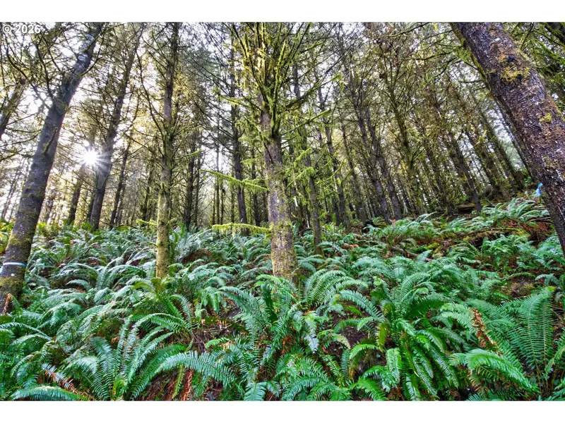 0 S HWY 42 #2, Coquille, OR 97423