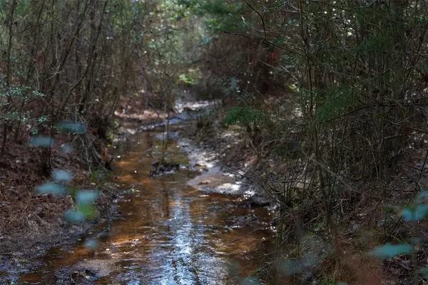 9190 County Road 2136 N, Henderson, TX 75652