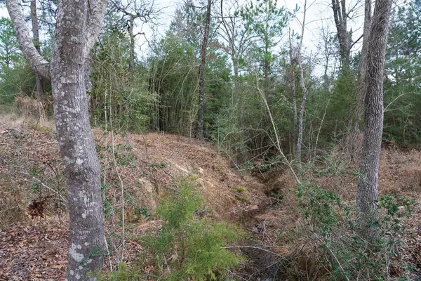 9190 County Road 2136 N, Henderson, TX 75652