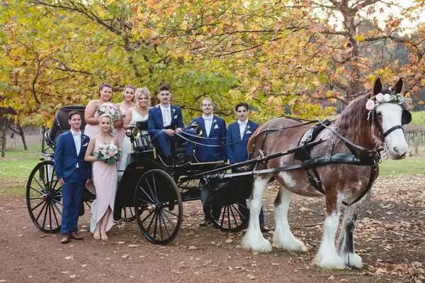 792 County Road 4945, Leonard, TX 75452