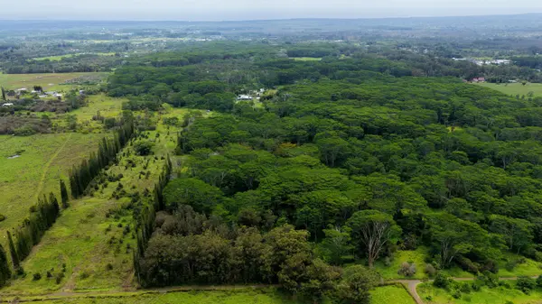 ENOS RD, Mountain View, HI 96771