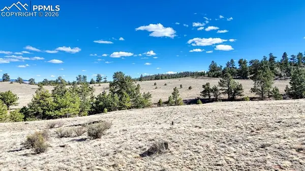 L5090L5097 Arikara TRL, Hartsel, CO 80449