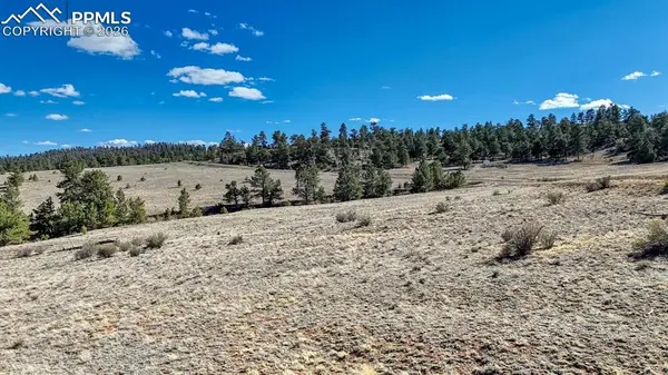 L5090L5097 Arikara TRL, Hartsel, CO 80449