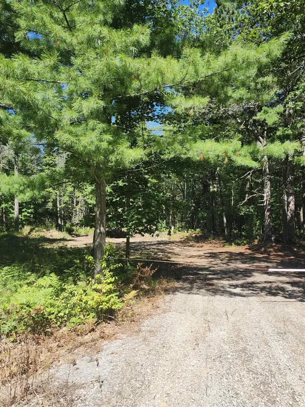 0 E Lincoln ST, Baldwin Twp, MI 48763