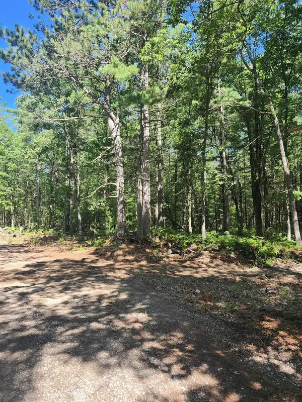 0 E Lincoln ST, Baldwin Twp, MI 48763