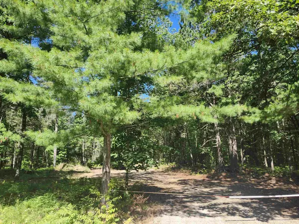 0 E Lincoln ST, Baldwin Twp, MI 48763