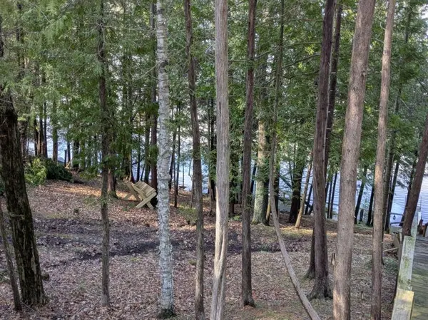 3698 Chippewa DR, Curtis Twp, MI 48737