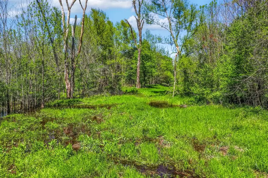 000 FM 196, Deport, TX 75435