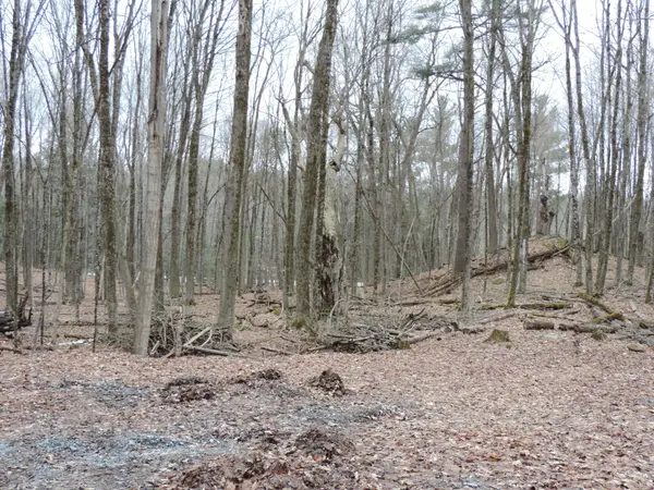 L1 -297 HARDING RD, Lanark Highlands, ON K0G 1K0