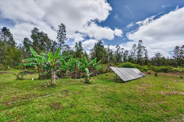 11-1869 ALAPUA ST, Mountain View, HI 96771