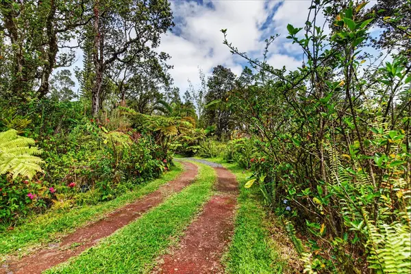 11-1869 ALAPUA ST, Mountain View, HI 96771