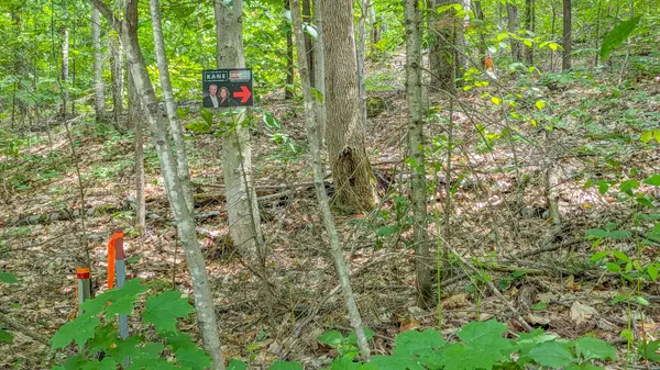 0 Rosseau Lake Rd 1 N/A, Muskoka Lakes, ON P0B 1M0