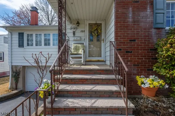 293 Maitland Ave, Paterson City, NJ 07502