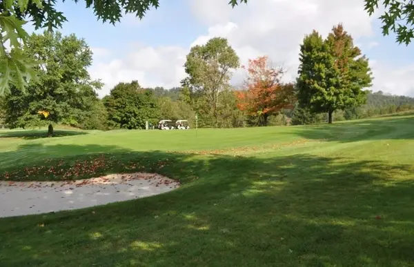 29 Cimmarron Bay Drive, Runaway Bay, TX 76426