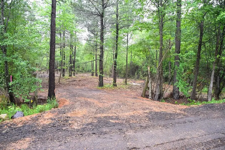 0 Collins Road, Nash, TX 75569