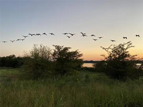 2185 Olivereta Drive, Little Elm, TX 75068