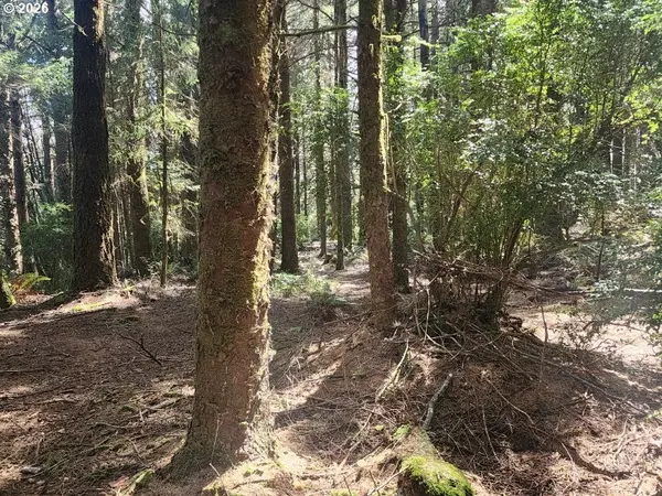 Cemetery Loop RD #2300, Port Orford, OR 97465