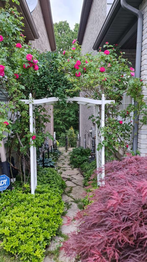 172 Lena CRES #2, Cambridge, ON N1R 8P6